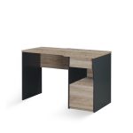 Colorado Computer Study Desk